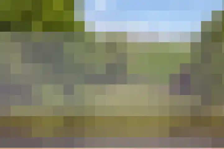 Moerbeek 3 't Veld thumbnail 54