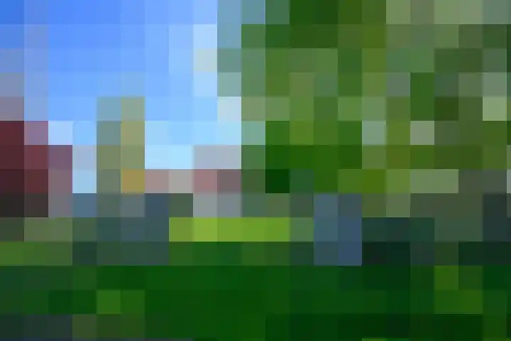 Moerbeek 3 't Veld thumbnail 59