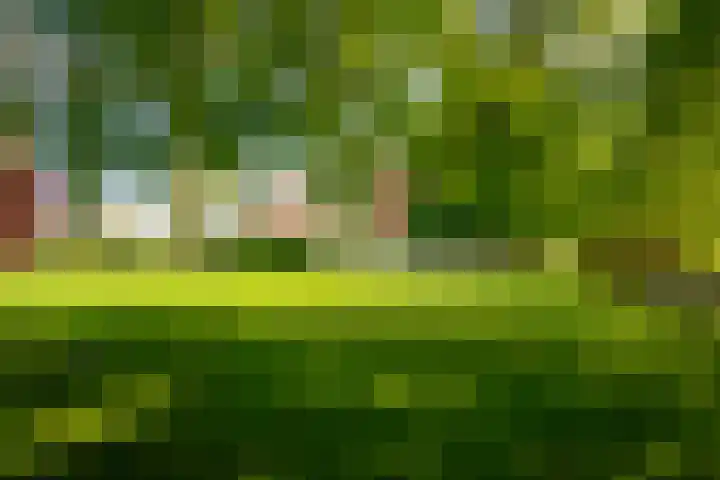 Moerbeek 3 't Veld thumbnail 60