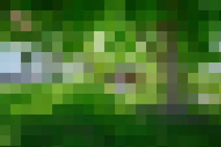 Moerbeek 3 't Veld thumbnail 62