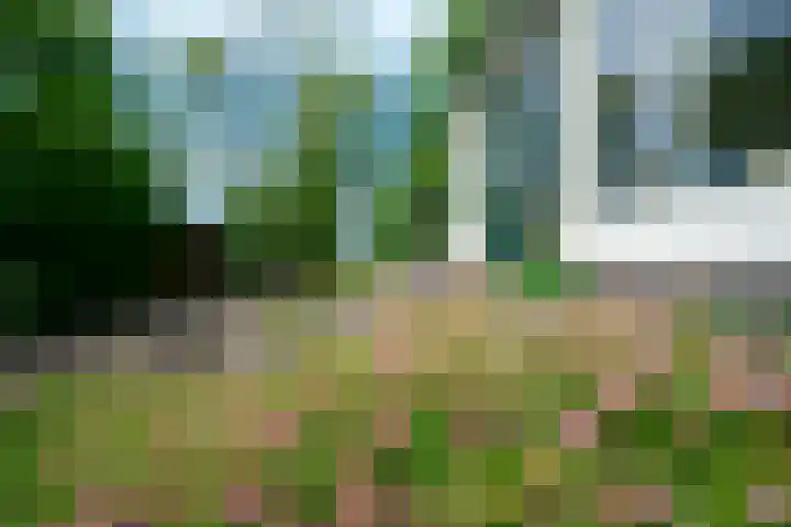 Moerbeek 3 't Veld thumbnail 63