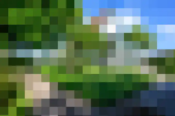 Moerbeek 3 't Veld thumbnail 64
