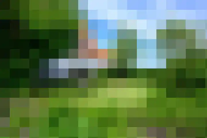 Moerbeek 3 't Veld thumbnail 70