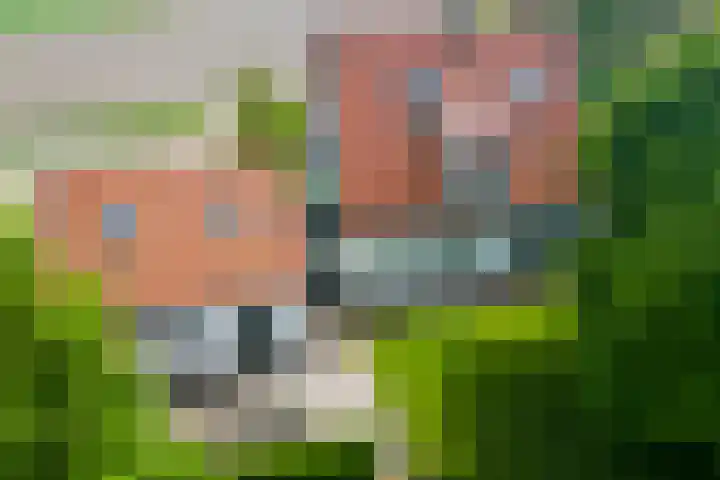 Moerbeek 3 't Veld thumbnail 75