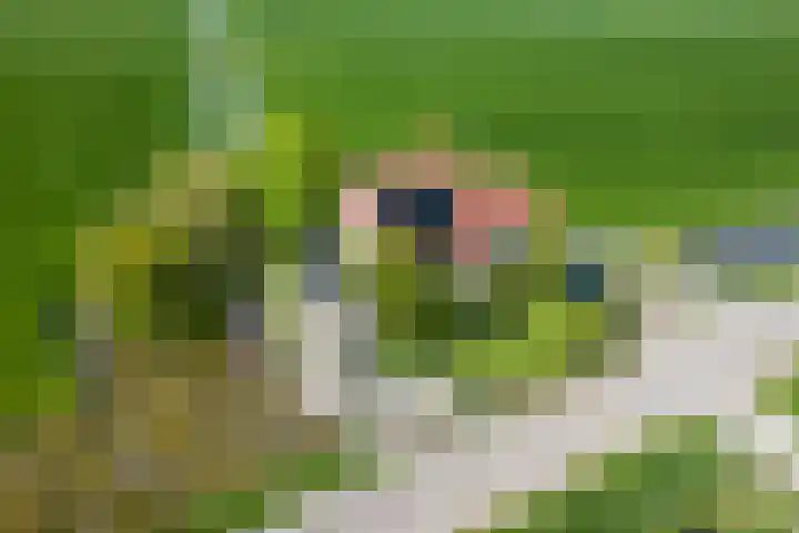 Moerbeek 3 't Veld thumbnail 76