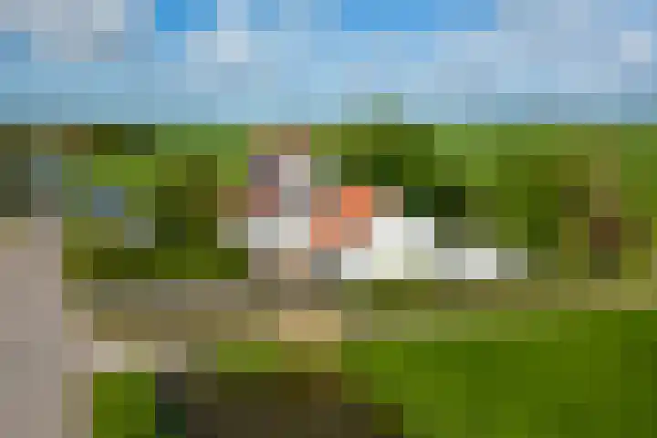 Moerbeek 3 't Veld thumbnail 77