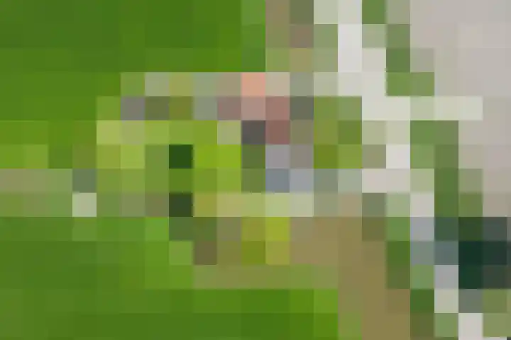Moerbeek 3 't Veld thumbnail 78