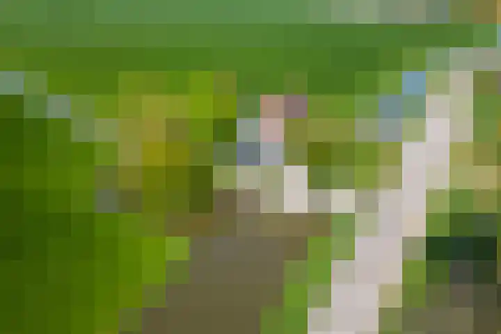 Moerbeek 3 't Veld thumbnail 79