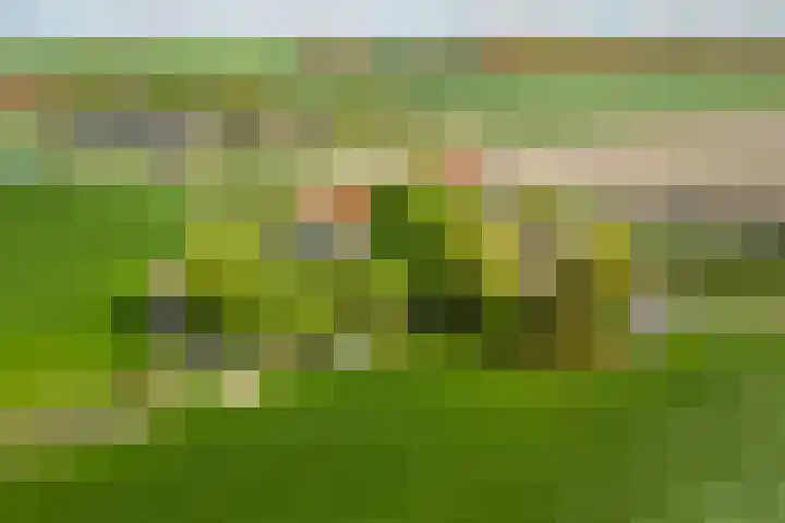 Moerbeek 3 't Veld thumbnail 80