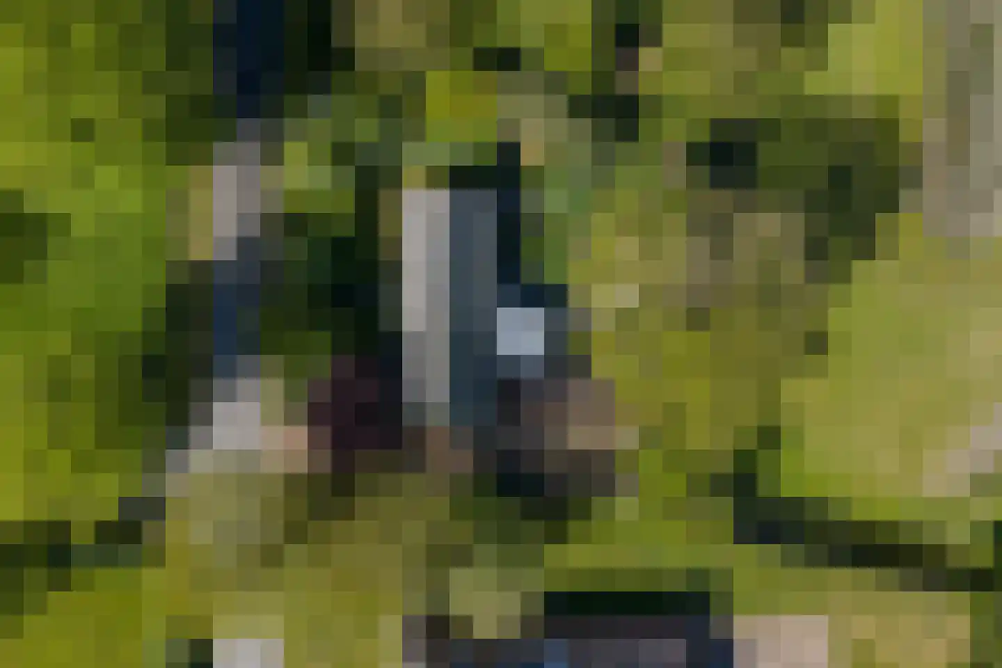 Moerbeek 31 Lutjewinkel thumbnail 17