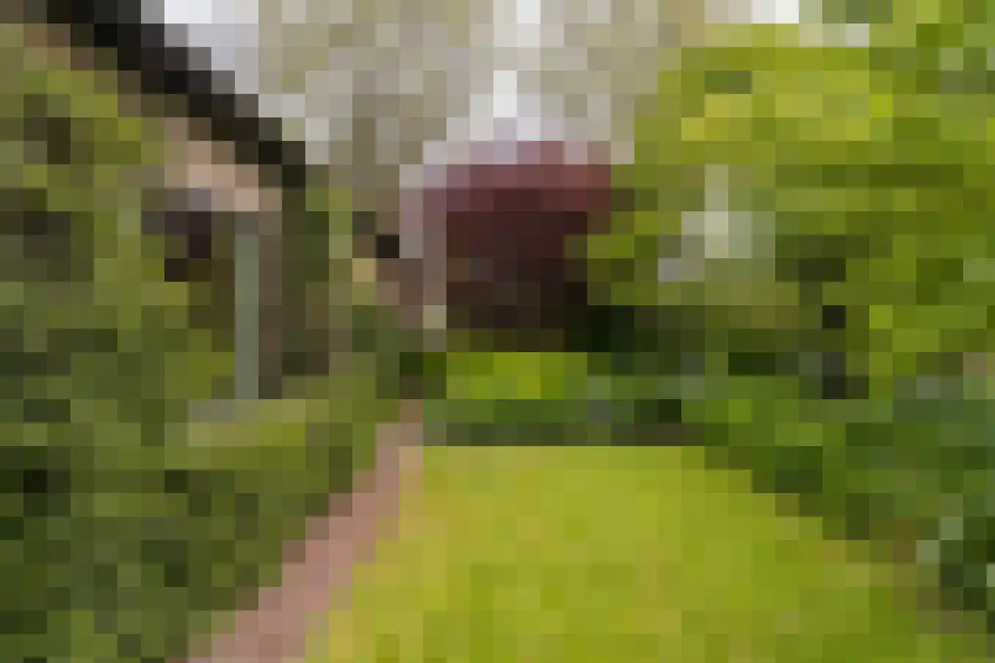 Moerbeek 31 Lutjewinkel thumbnail 20