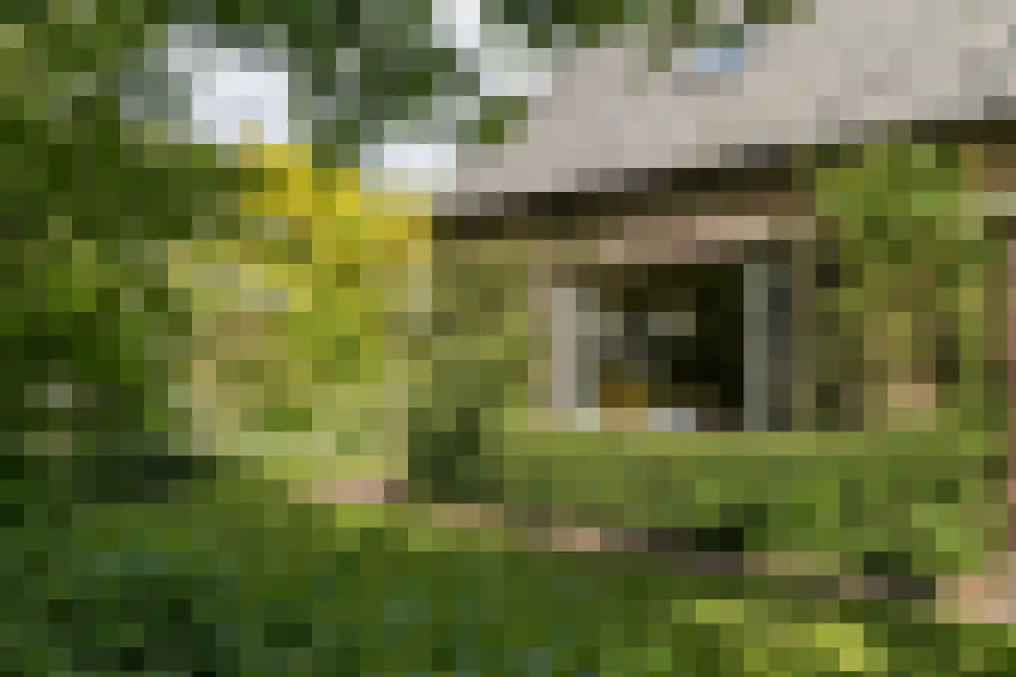 Moerbeek 31 Lutjewinkel thumbnail 21