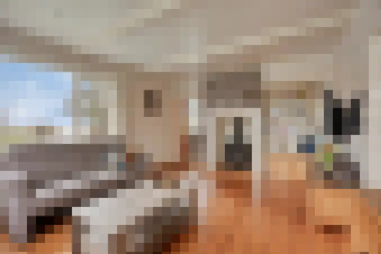 Moerbeek 32 Lutjewinkel thumbnail 11