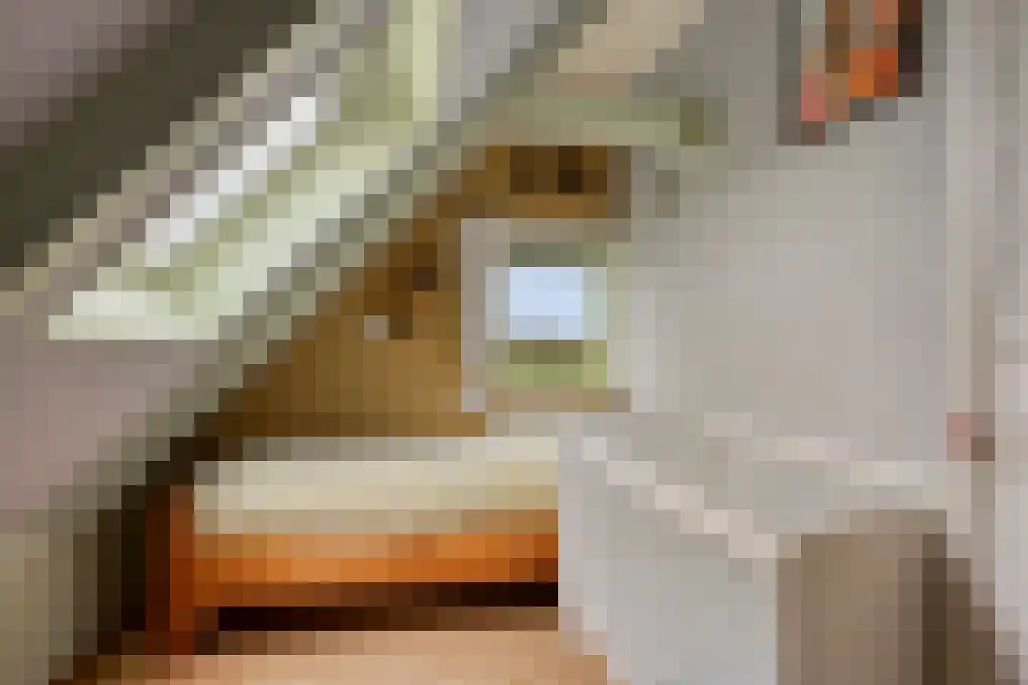 Moerbeek 32 Lutjewinkel thumbnail 29