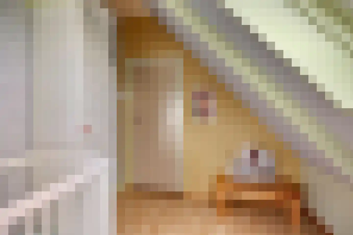 Moerbeek 32 Lutjewinkel thumbnail 30