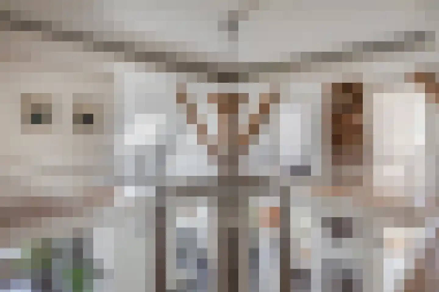 Moerbeek 33 Lutjewinkel thumbnail 17