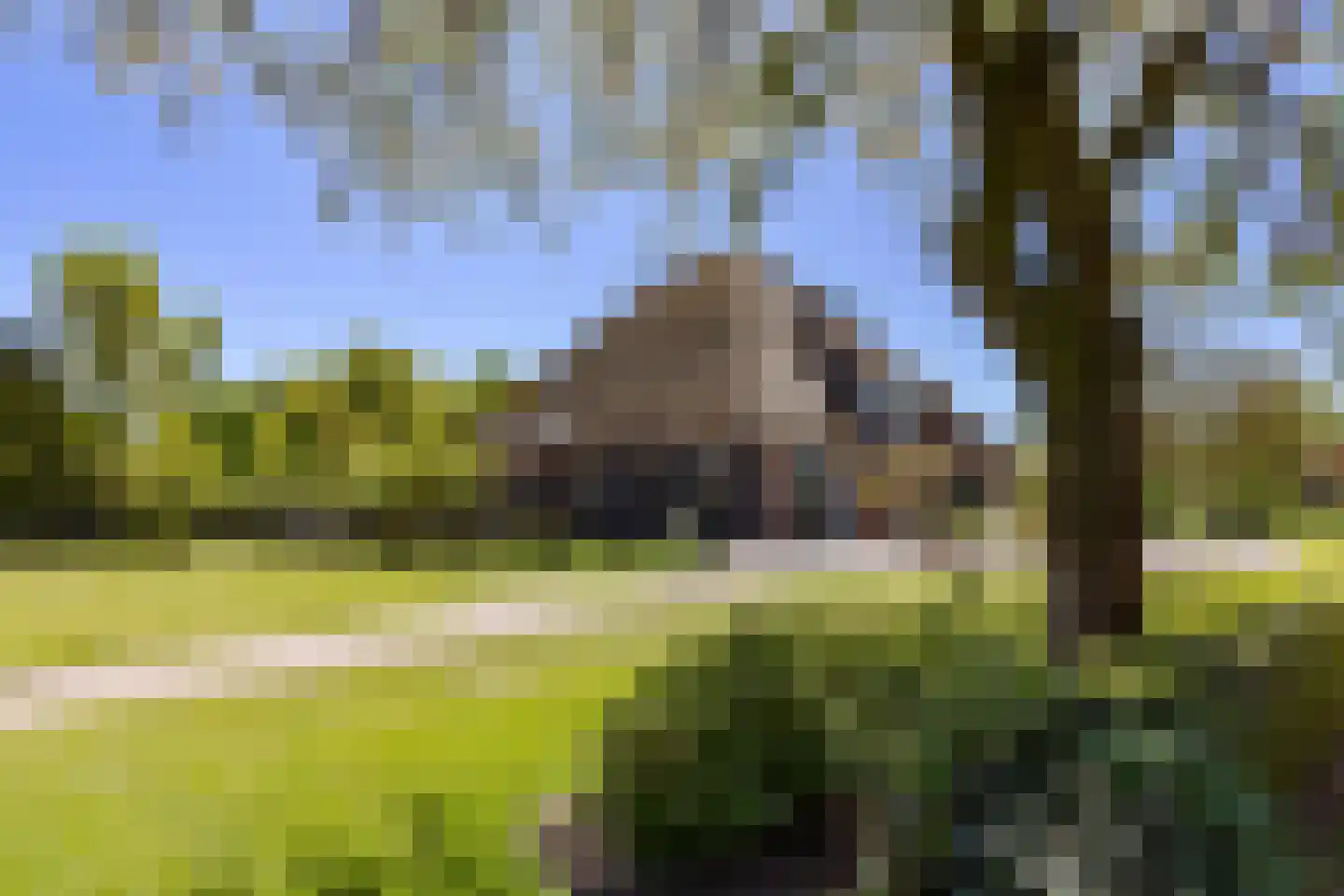 Moerbeek 33 Lutjewinkel thumbnail 25