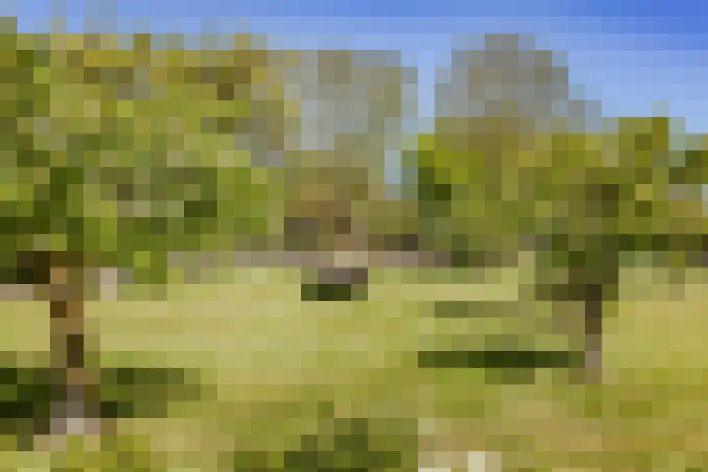 Moerbeek 33 Lutjewinkel thumbnail 27