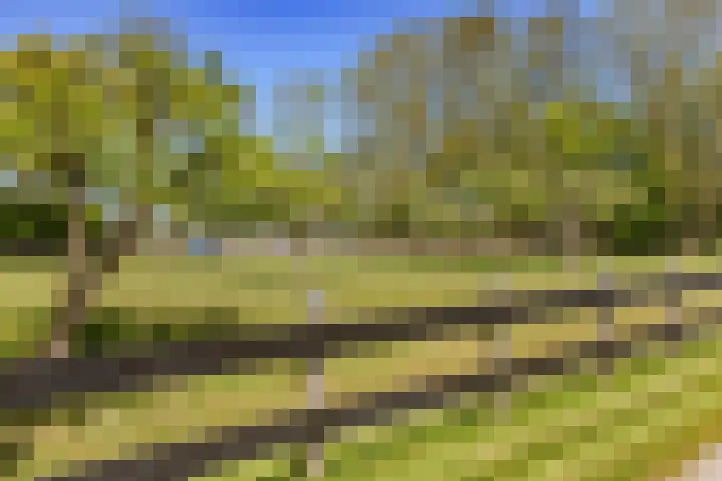 Moerbeek 33 Lutjewinkel thumbnail 29