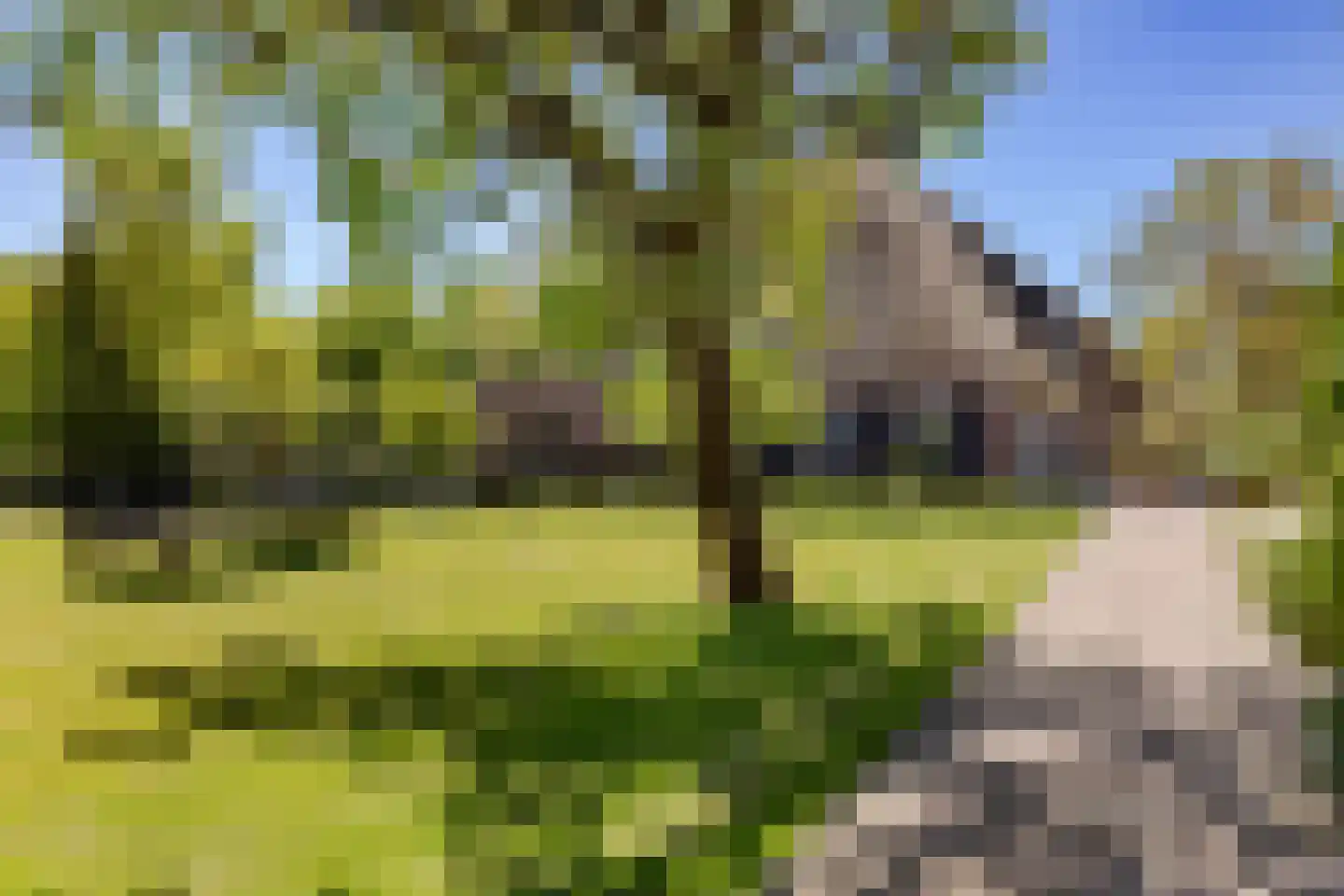 Moerbeek 33 Lutjewinkel thumbnail 32