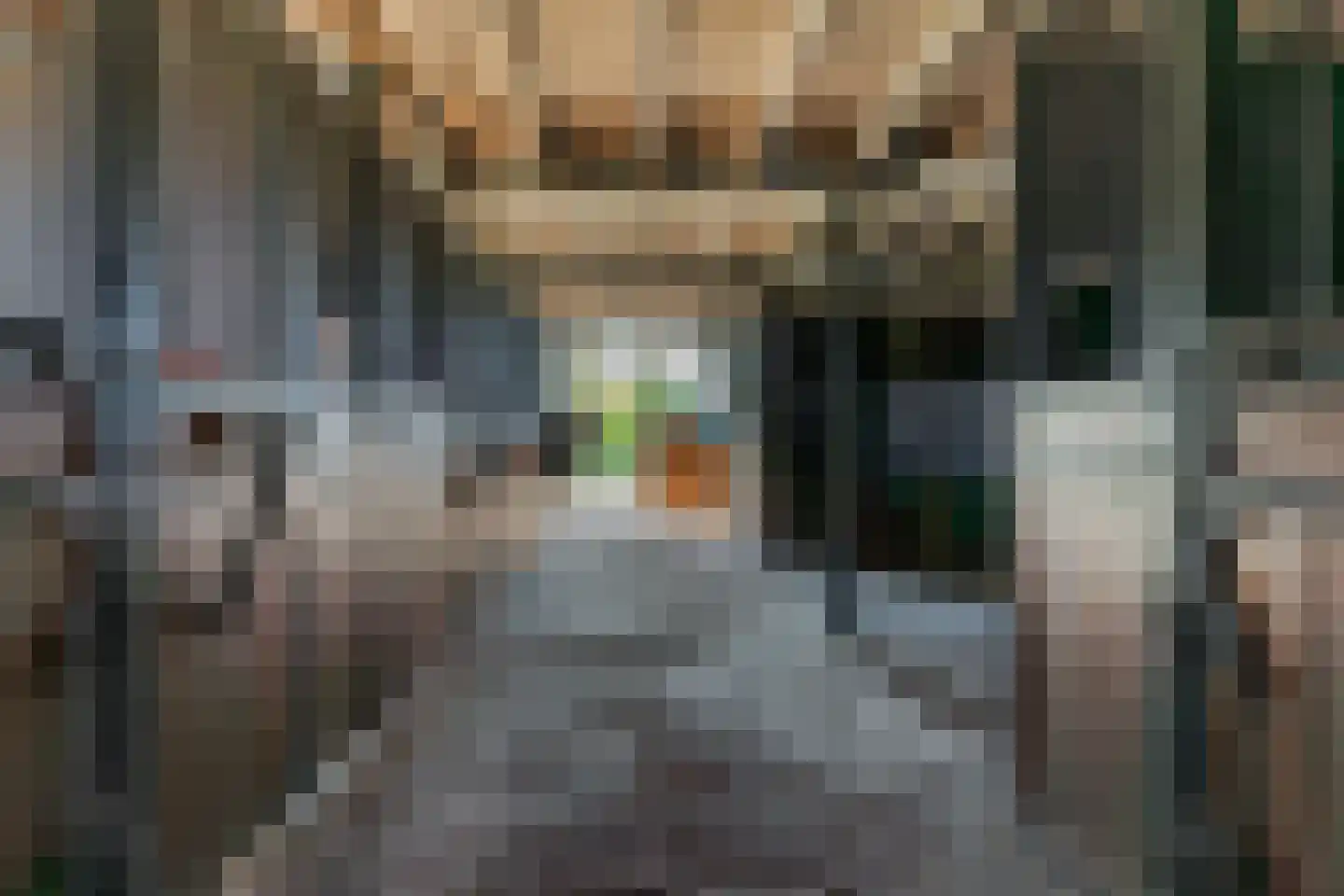 Moerbeek 33 Lutjewinkel thumbnail 37