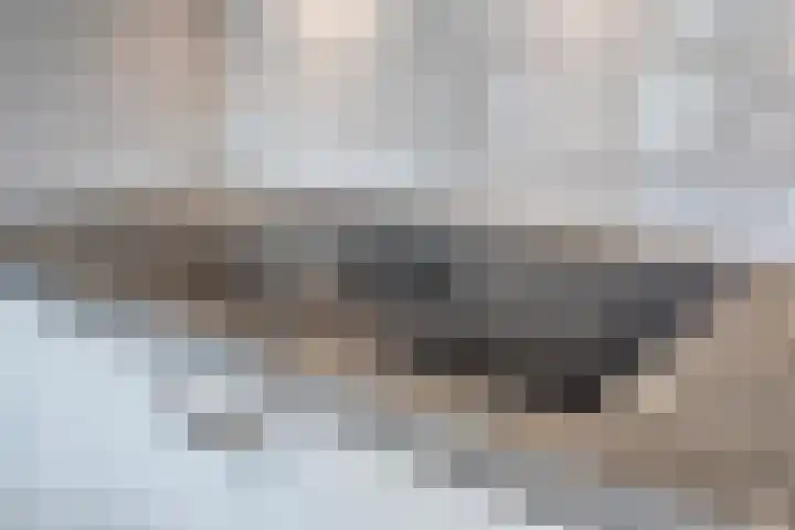 Moerbeek 7 't Veld thumbnail 22