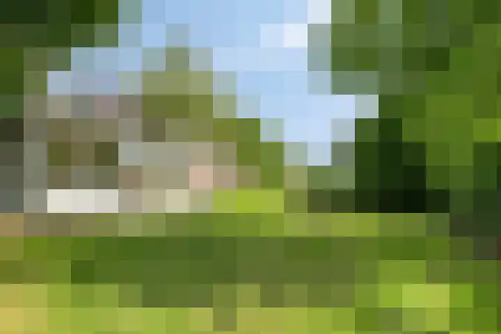 Moerbeek 7 't Veld thumbnail 40