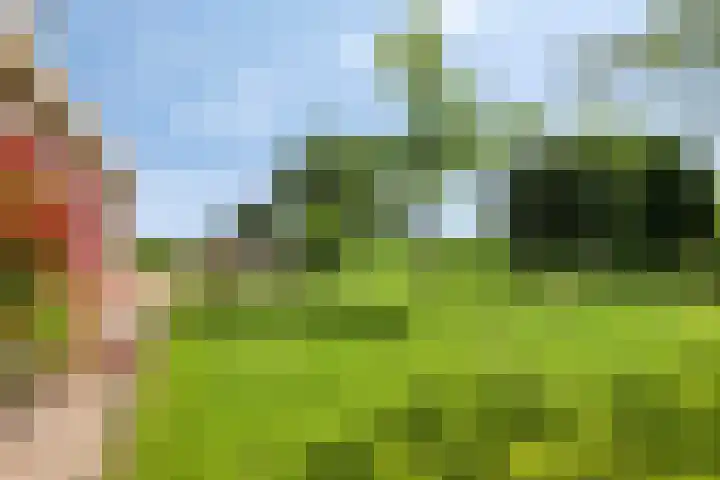 Moerbeek 7 't Veld thumbnail 41