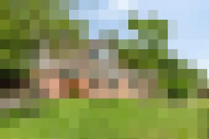 Moerbeek 7 't Veld thumbnail 43
