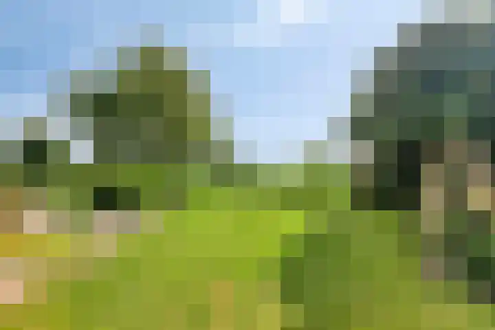Moerbeek 7 't Veld thumbnail 44