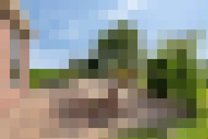 Moerbeek 7 't Veld thumbnail 45