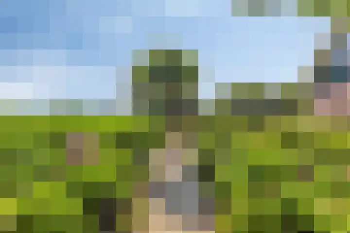 Moerbeek 7 't Veld thumbnail 47