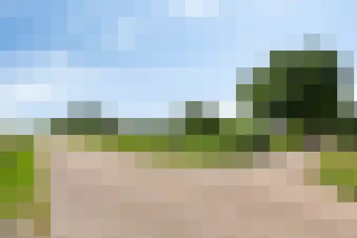 Moerbeek 7 't Veld thumbnail 54