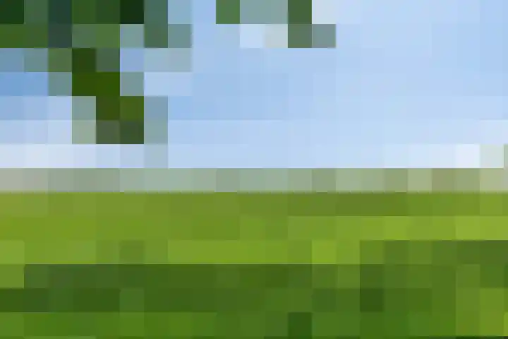 Moerbeek 7 't Veld thumbnail 55
