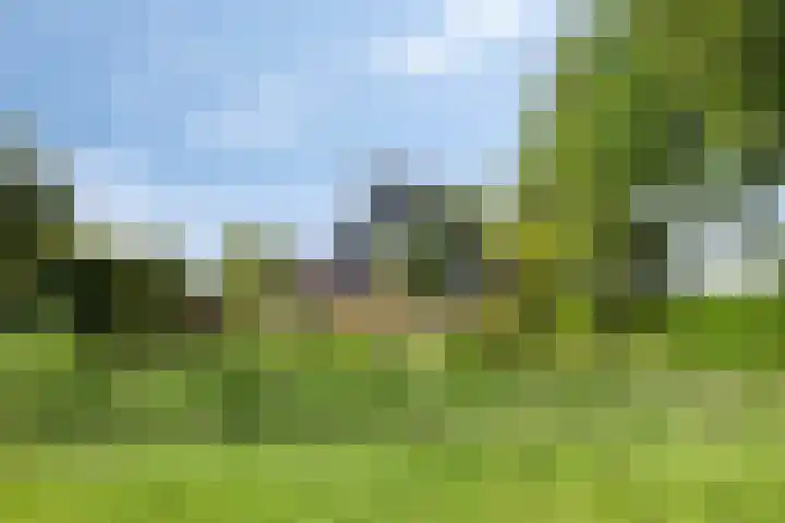 Moerbeek 7 't Veld thumbnail 6