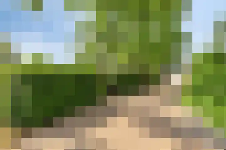 Moerbeek 7 't Veld thumbnail 7