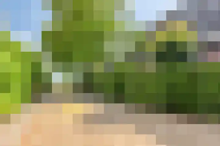 Moerbeek 7 't Veld thumbnail 8