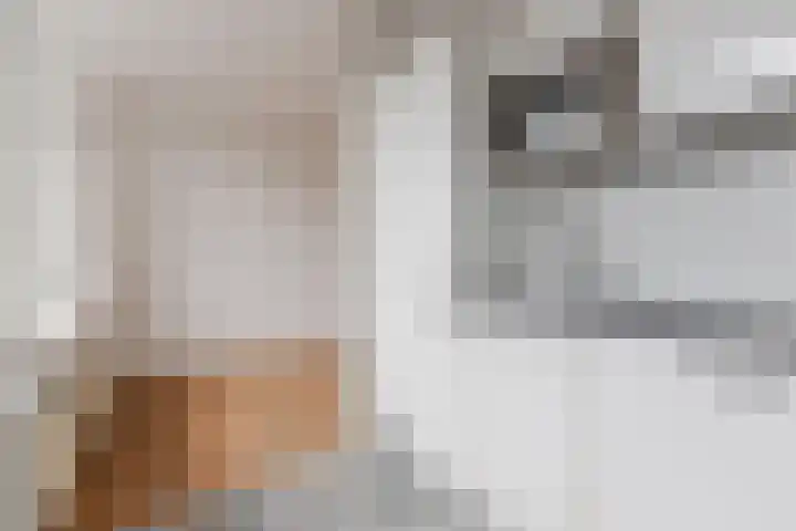 Moerbeeklaan 11 Heerhugowaard thumbnail 10