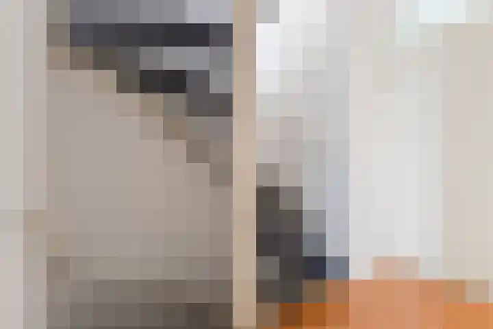 Moerbeeklaan 11 Heerhugowaard thumbnail 13