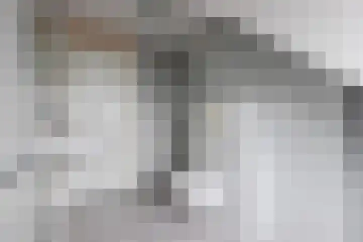 Moerbeeklaan 11 Heerhugowaard thumbnail 22