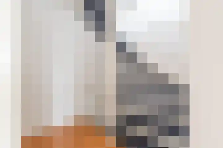 Moerbeeklaan 11 Heerhugowaard thumbnail 23