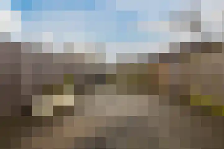 Moerbeeklaan 11 Heerhugowaard thumbnail 28