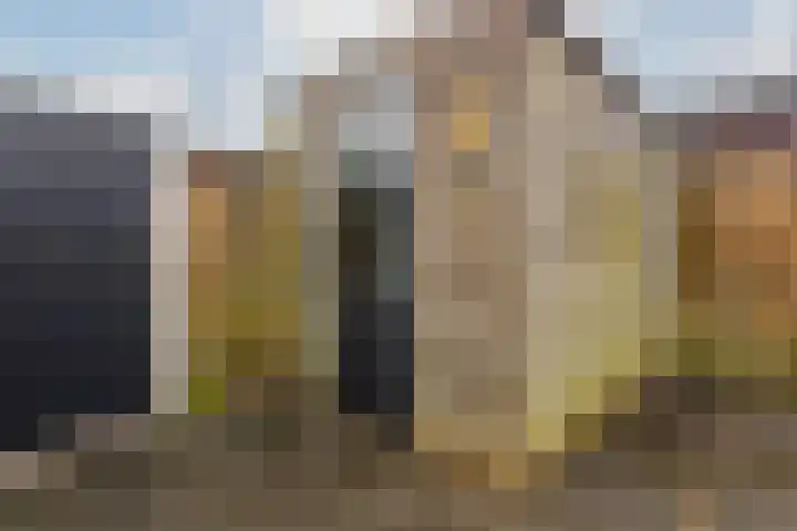 Moerbeeklaan 11 Heerhugowaard thumbnail 29