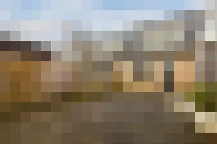 Moerbeeklaan 11 Heerhugowaard thumbnail 31
