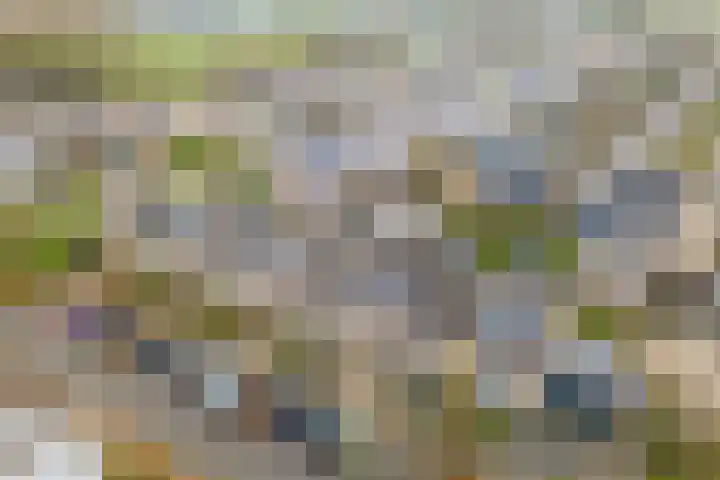 Moerbeeklaan 11 Heerhugowaard thumbnail 34