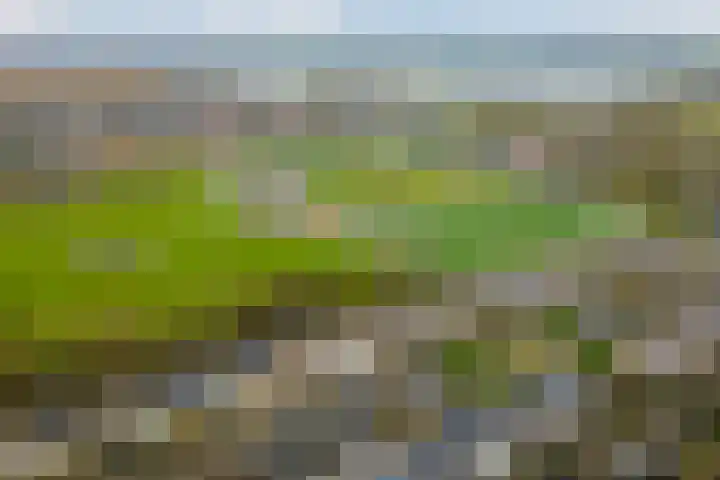 Moerbeeklaan 11 Heerhugowaard thumbnail 35