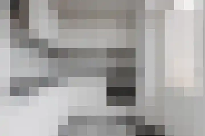 Moerbeeklaan 11 Heerhugowaard thumbnail 8