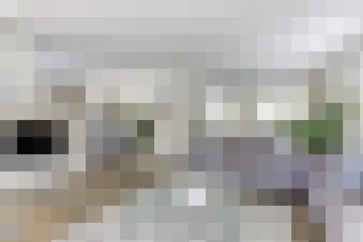 Moerbeeklaan 32 Heerhugowaard thumbnail 11