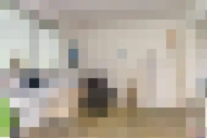 Moerbeeklaan 32 Heerhugowaard thumbnail 14