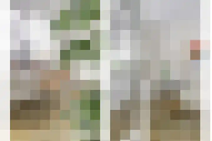 Moerbeeklaan 32 Heerhugowaard thumbnail 16